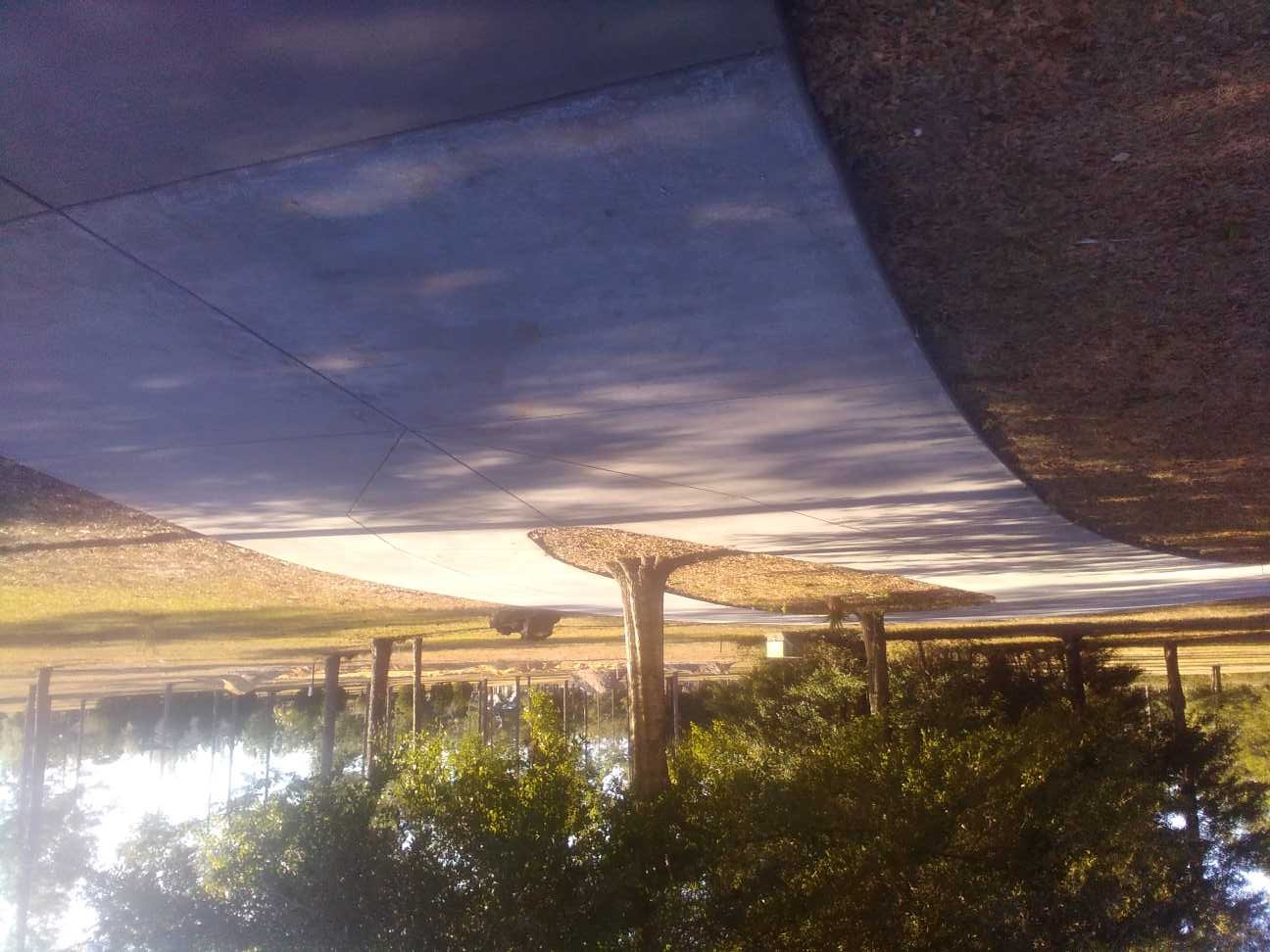 Wide concrete rural driveway at sunset in Bell, Florida